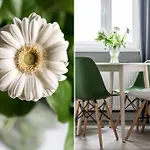 Sanhaus - Chopina 13 - W Centrum, 5 Minut Od Plazy I Deptaka * Сопот
