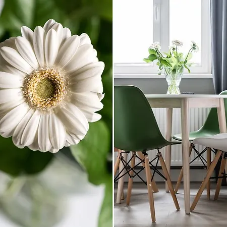 Sanhaus - Chopina 13 - W Centrum, 5 Minut Od Plazy I Deptaka * Sopot