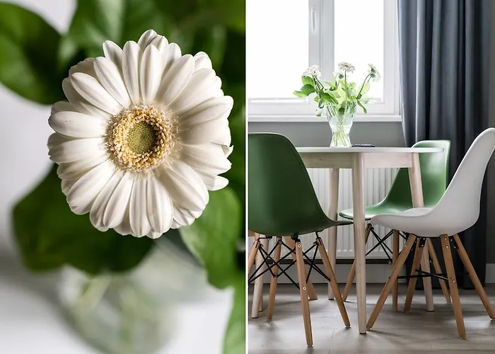 Sanhaus - Chopina 13 - W Centrum, 5 Minut Od Plazy I Deptaka * Sopot